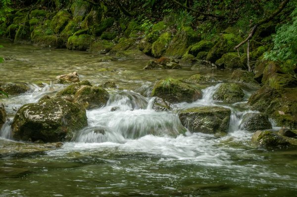 Où séjourner pour des vacances en Laponie avec des excursions en traîneau à chiens et observation des aurores boréales?