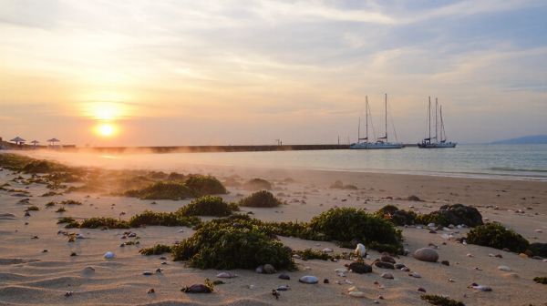 Découvrez les meilleures locations à Houlgate pour des vacances mémorables