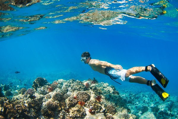 Quels sont les meilleurs spots pour faire du snorkelling dans la Grande Barrière de Corail, Australie?